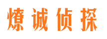 宛城外遇调查取证